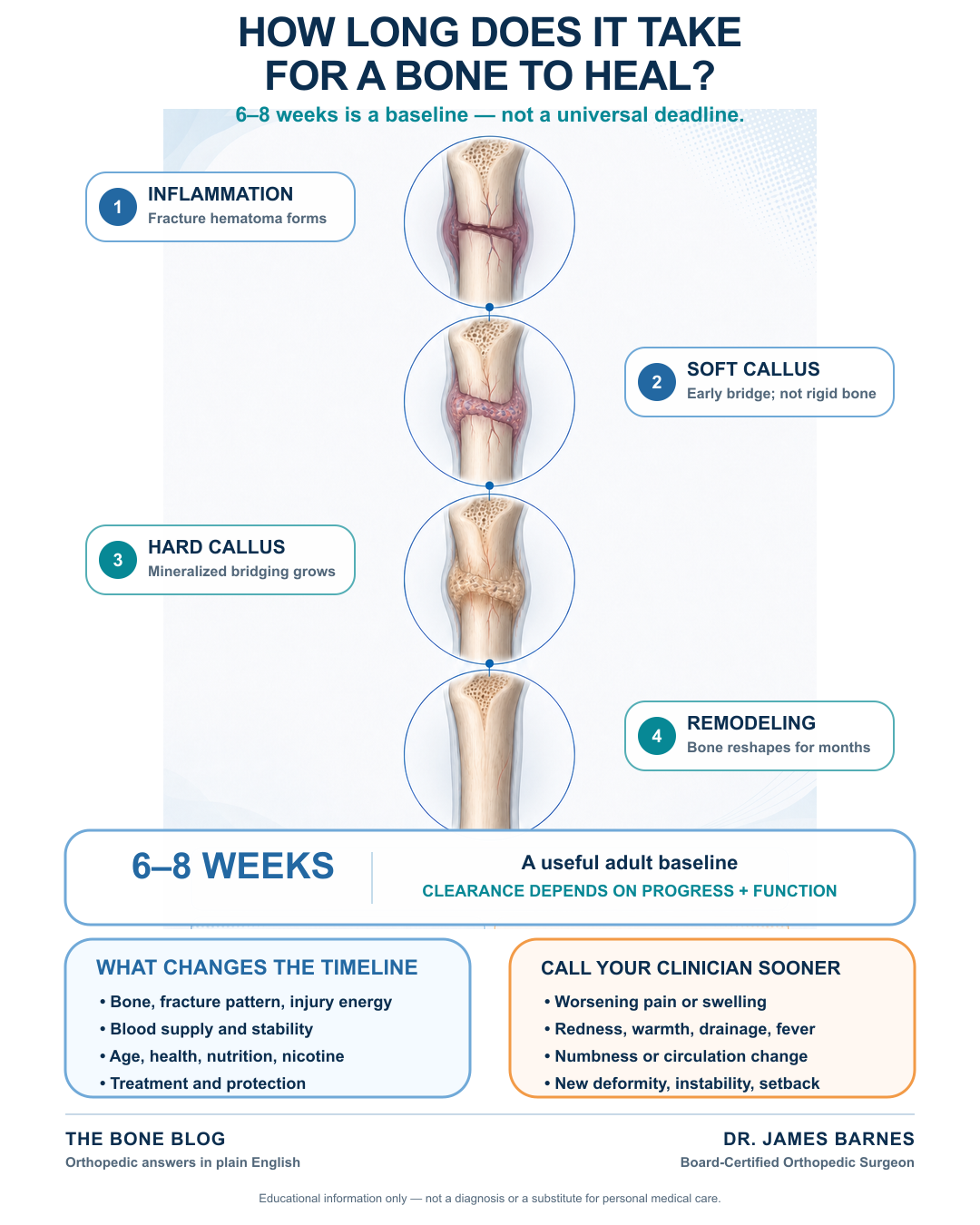 Infographic showing the stages of bone healing, the typical six-to-eight-week timeline, factors that can slow recovery, and warning signs to discuss with a clinician.